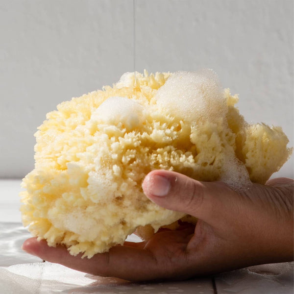 Large body scrub covered in bubbles
