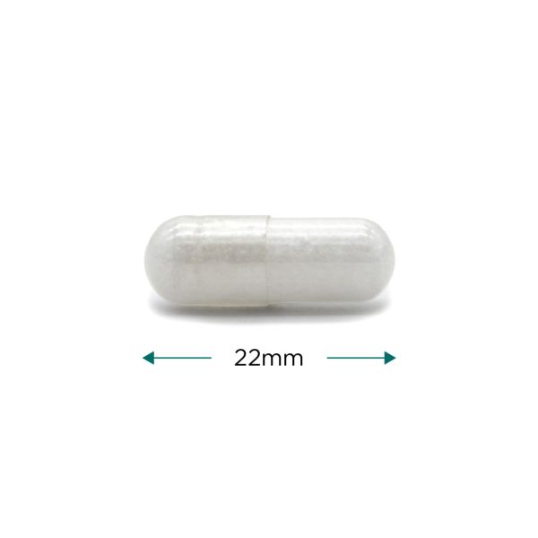 Cytoplan NAC (N-Acetyl L-Cysteine) 120 Capsules