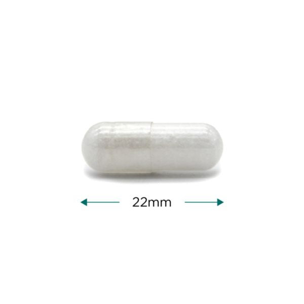 Cytoplan NAC (N-Acetyl L-Cysteine) 120 Capsules