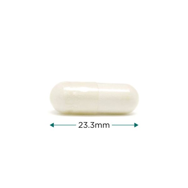 Cytoplan Menopause Multi 60 Capsules