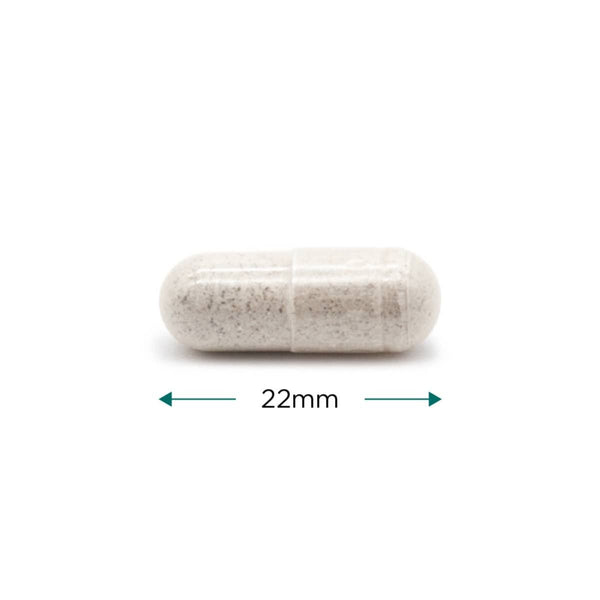 Cytoplan Thryroid Support 120 Capsules