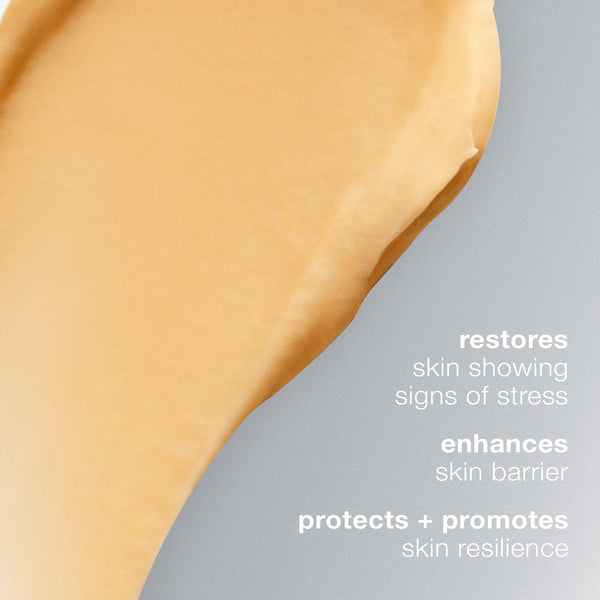 Dermalogica Multivitamin Power Recovery Masque®