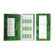 Royal Fern Illuminating Ampoules