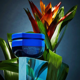 a tub of R+Co Bleu Elastic Styling Pomade in front of a large plant