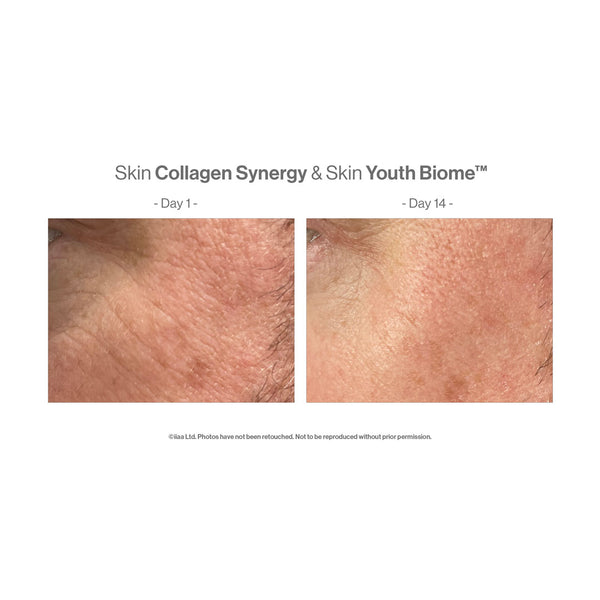 Advanced Nutrition Programme Skin Collagen Synergy
