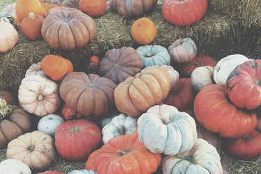 Pumpkin Beauty Tips: Using Up Your Halloween Leftovers