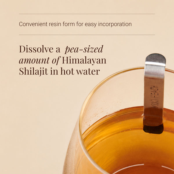 KIKI Health Himalayan Shilajit Resin 30g