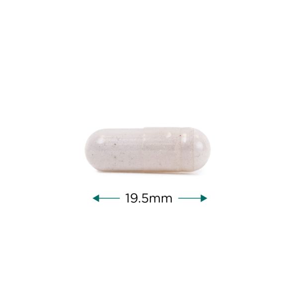 Cytoplan Vitamin B12 Sublingual 60 Capsules