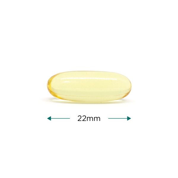 Cytoplan Fish Oil: High Potency Omega 3 60 Capsules