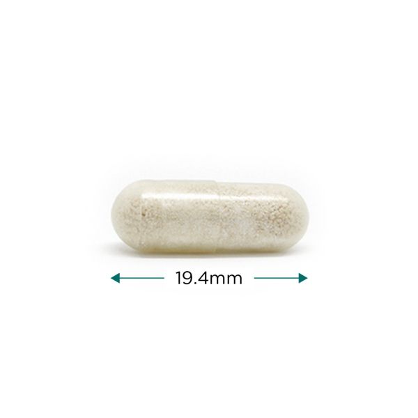 Cytoplan Saccharomyces Boulardii 120 Capsules