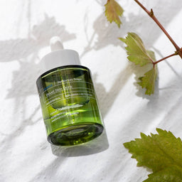 KORRES Santorini Grape Velvet Skin Drink next to a green leaf and branch
