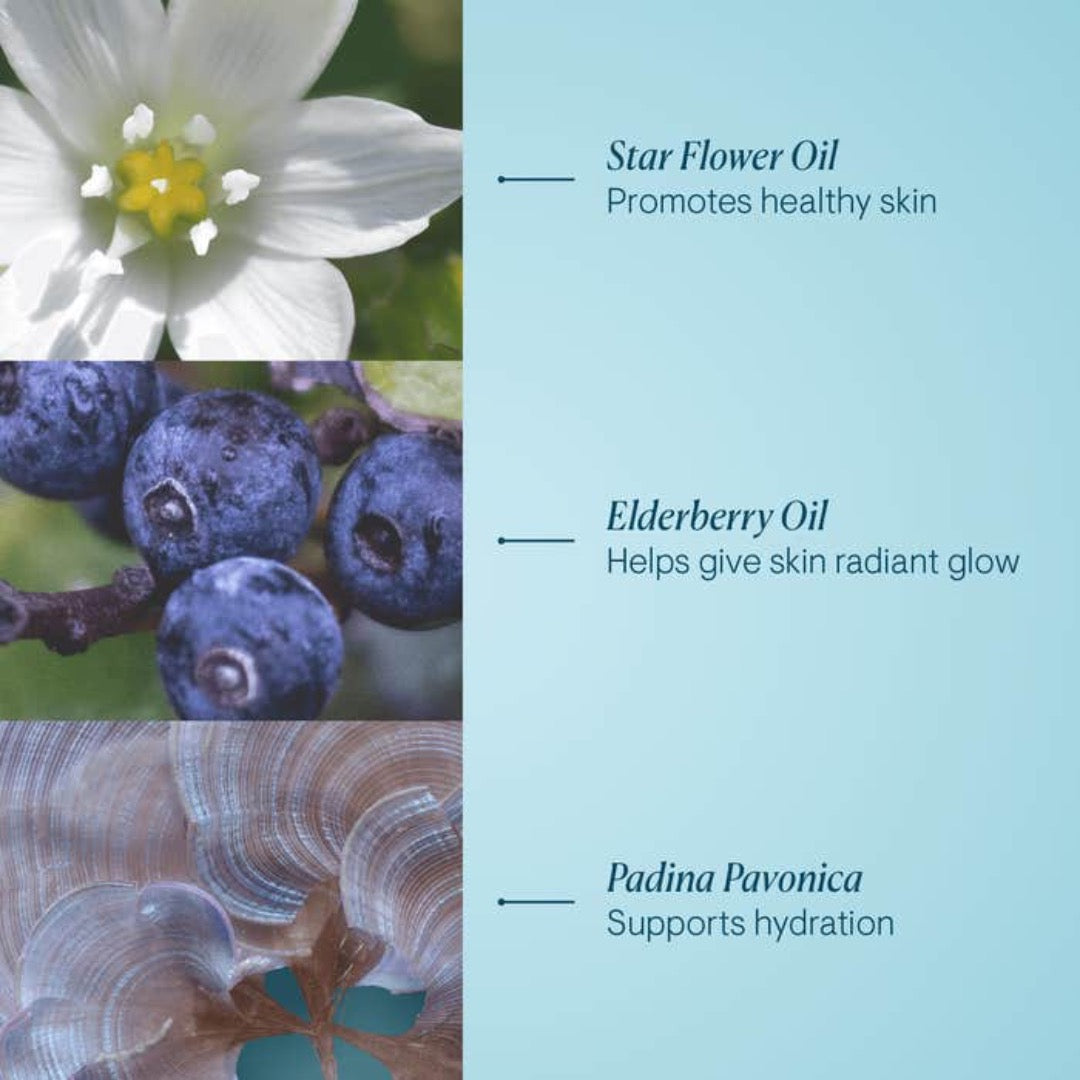 Elemis Pro-Collagen Cleansing Balm ingredients