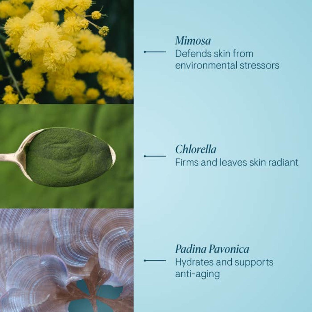Elemis Pro-Collagen Marine Cream ingredients
