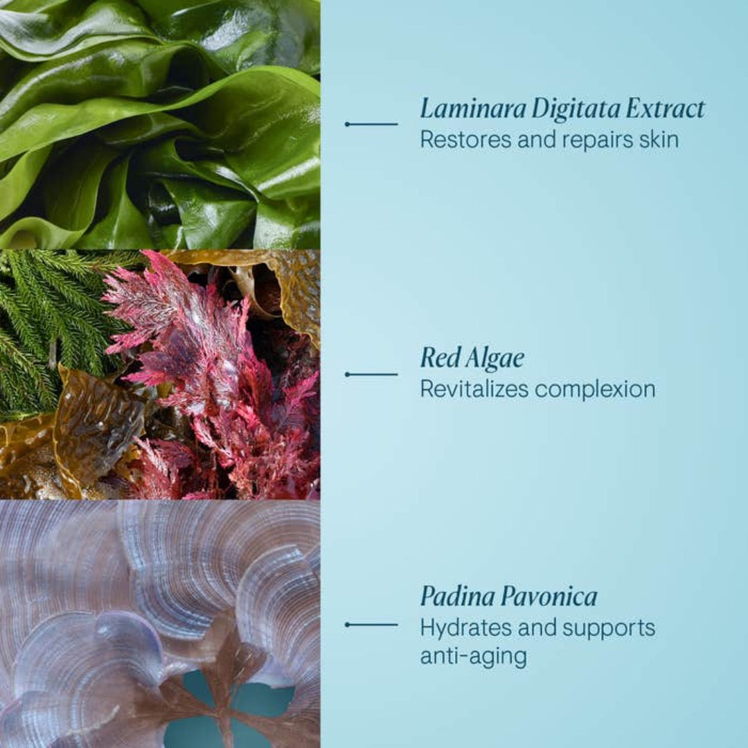 Elemis Pro Collagen Night Cream ingredients