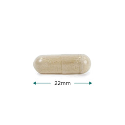 Cytoplan Perimenopause Complex 60 Capsules