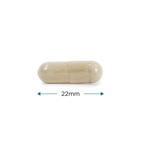 Cytoplan Perimenopause Complex 60 Capsules
