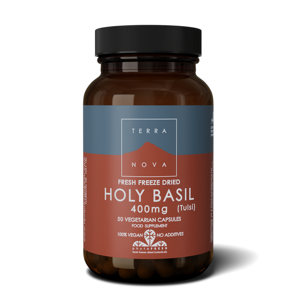 Terra Nova Holy Basil supplement bottle on a white background
