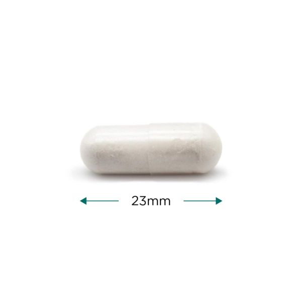 Cytoplan Bone Support 120 Capsules