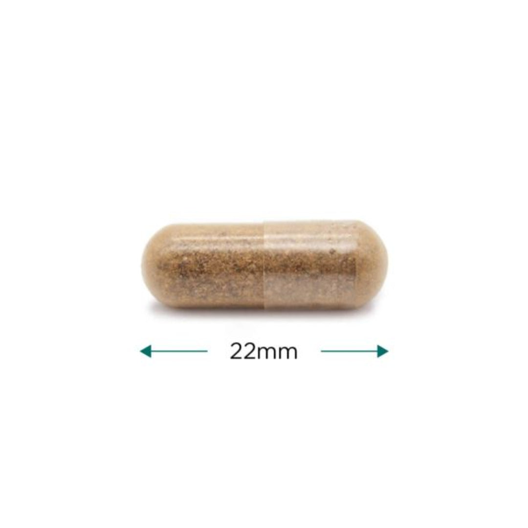 Small metal components on a white background