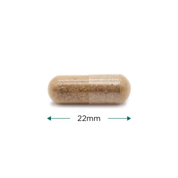 Cytoplan Women's Wholefood Multi 120 Capsules