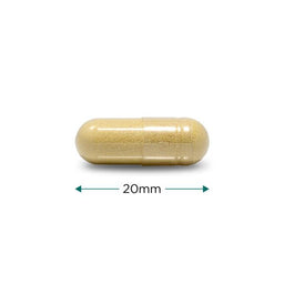 Cytoplan Quercetin Plus 60 Capsules