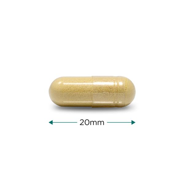 Cytoplan Quercetin Plus 60 Capsules