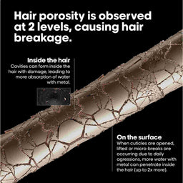 L'Oreal Professionnel Metal Detox Pre-Shampoo Treatment 250ml