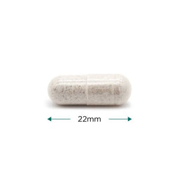 Cytoplan Magnesium Bisglycinate 60 Capsules