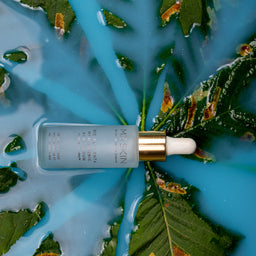 A cosmetic dropper bottle with a pale blue body and gold collar lies on top of a stylized arrangement of green leaves and bright blue liquid.