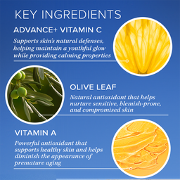 Key ingredients of skincare product with images and descriptions on a blue background