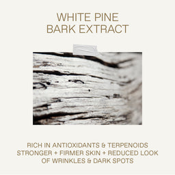 KORRES White Pine Deep Wrinkle, Plumping + Age Spot Concentrate 30ml