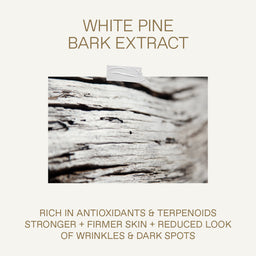 KORRES White Pine Restorative Overnight Facial Cream 40ml
