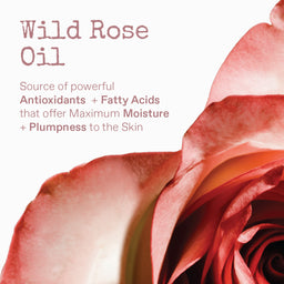 KORRES Apothecary Wild Rose Day-Brightening Gel-Cream with Vitamin Super C 40ml