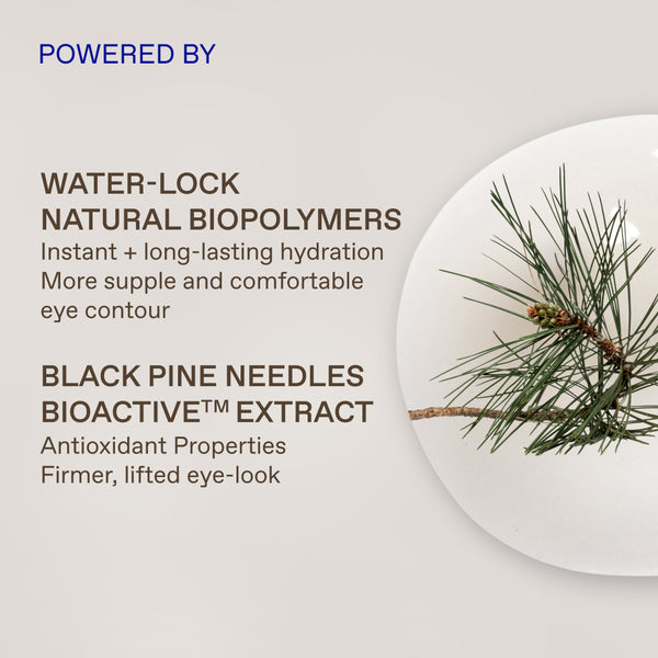 Promotional graphic for an eye contour product featuring text about water-lock natural biopolymers and black pine needles bioactive extract, alongside a close-up photo of a pine branch on a white plate against a light beige background.
