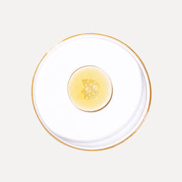 White plate with gold rim featuring a round yellow object on a white background