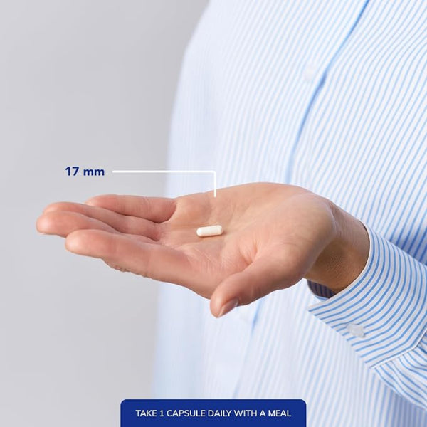 A person in a light blue striped shirt holds an off-white capsule in their hand, with a measurement overlay indicating the capsule is 17 mm. A blue text banner at the bottom reads 'TAKE 1 CAPSULE DAILY WITH A MEAL'.