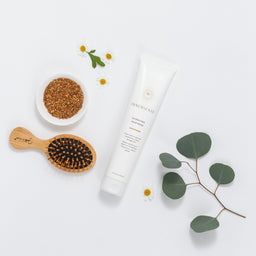 A white tube of INAYUSHI shampoo is displayed in a styled flat-lay arrangement on a white background, surrounded by a wooden hairbrush, a small bowl of brown seeds, and eucalyptus leaves.