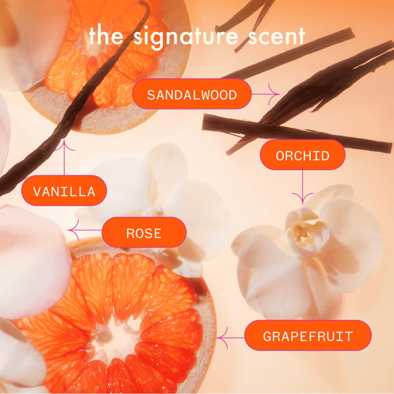 Illustration of sandalwood, vanilla, rose, orchid, and grapefruit with labels on a warm background.