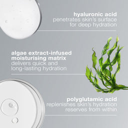 Dermalogica Circular Hydration Serum