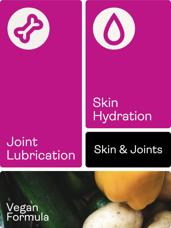 A promotional graphic with three vertical panels: a magenta panel with a bone icon and the text 'Joint Lubrication,' a magenta panel with a droplet icon and 'Skin Hydration,' a black panel with 'Skin & Joints,' and a vegetable photo at the bottom with 'Vegan Formula.' No physical product is shown.