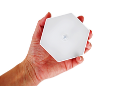 Hand Holding Motion Sensor Night Light