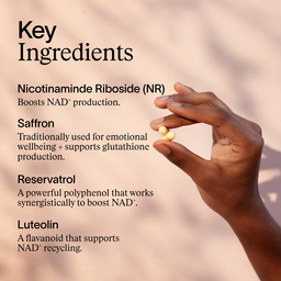 ARTAH Enhanced NAD+ Complex 60 Capsules