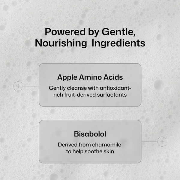 A light gray informational graphic with the headline 'Powered by Gentle, Nourishing Ingredients' and two rounded text boxes. The top box reads 'Apple Amino Acids' with smaller supporting text about gentle cleansing and antioxidant-rich surfactants.