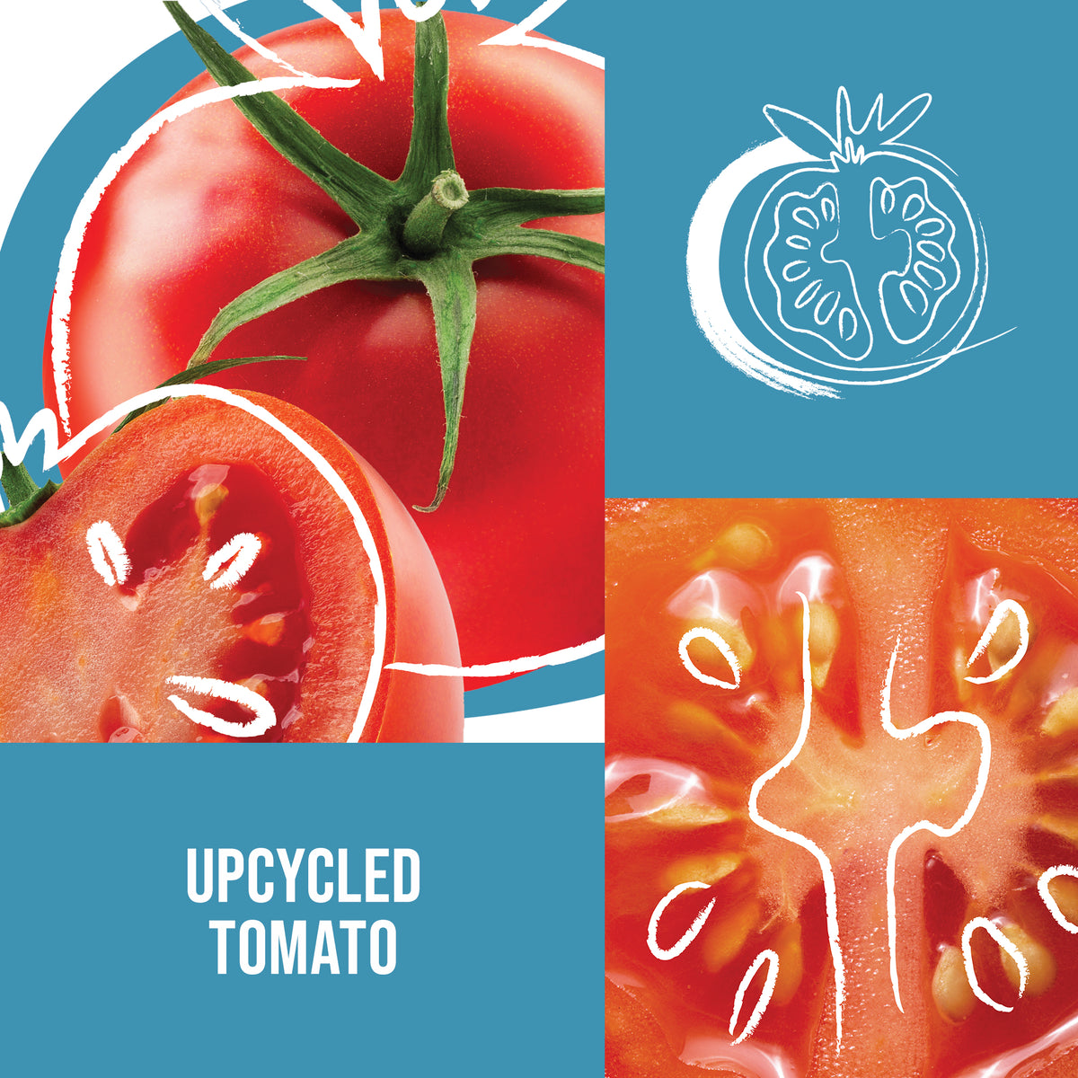 Upcycled tomato design with a whole tomato, half tomato, and tomato cross-section on a blue background.