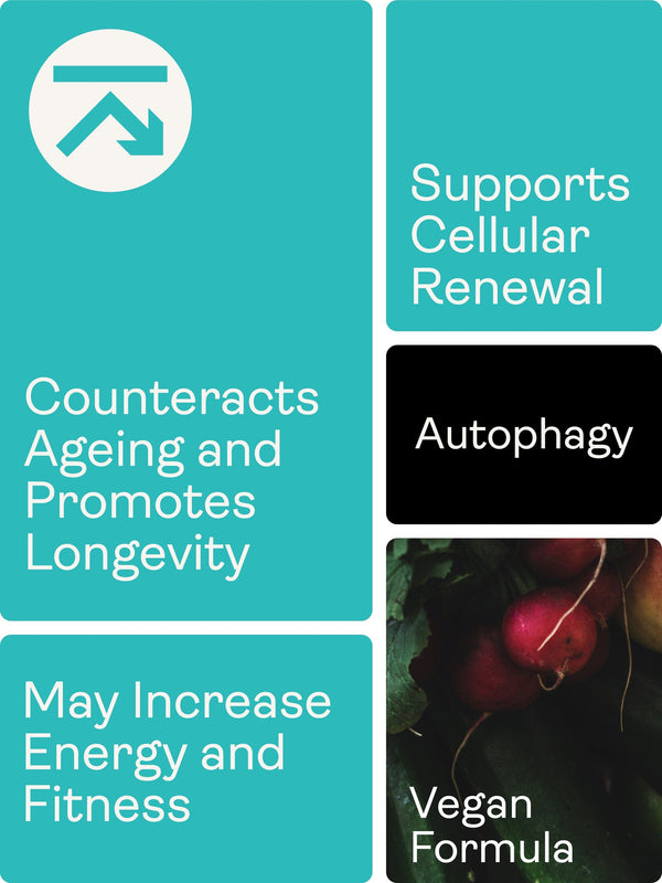 A teal and white promotional graphic with text blocks reading 'Supports Cellular Renewal,' 'Counteracts Ageing and Promotes Longevity,' 'May Increase Energy and Fitness,' 'Autophagy,' and 'Vegan Formula,' plus a small photo of red radishes in the lower right.