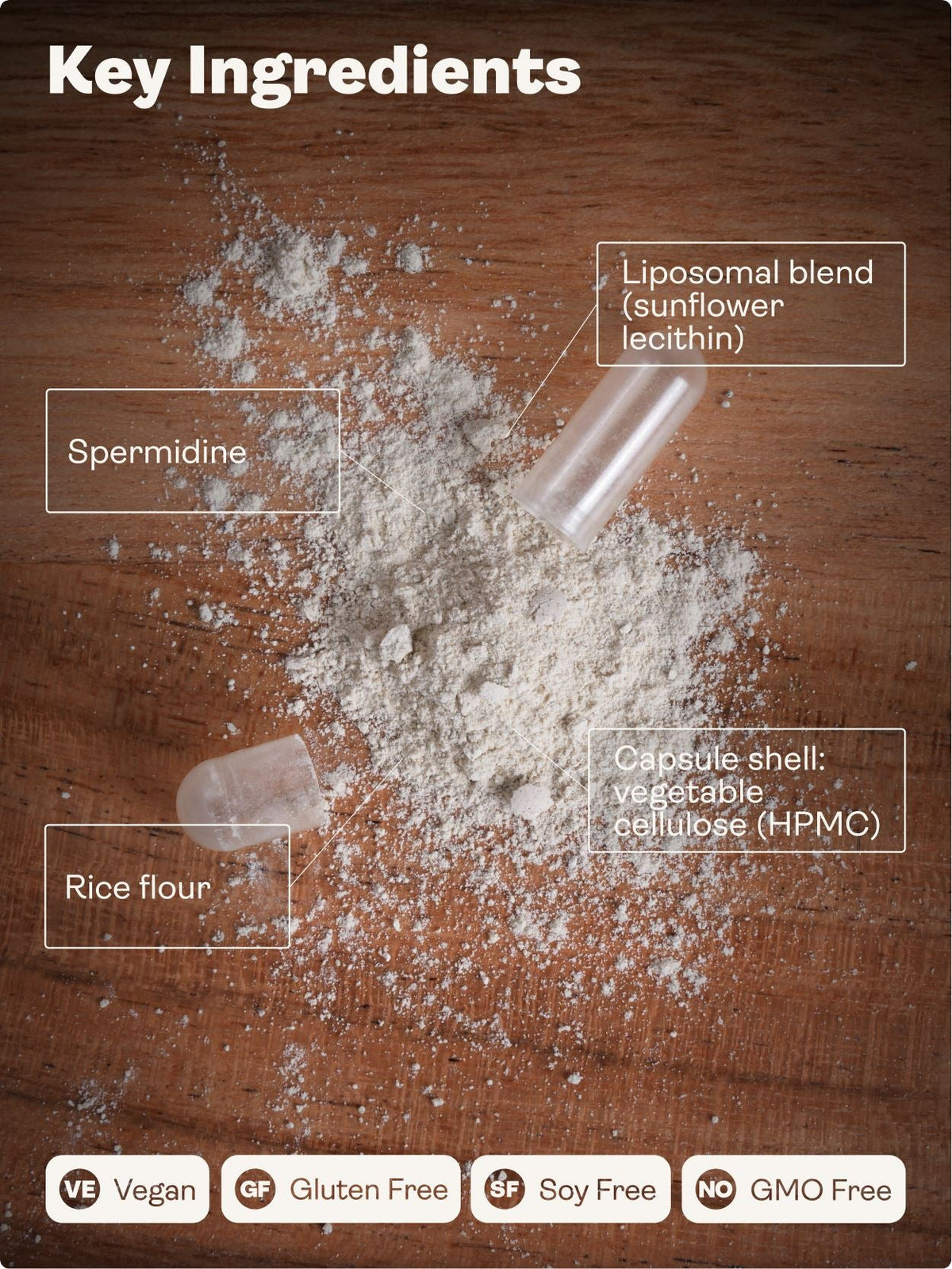 An informational graphic on a wooden surface showing a pile of white powder with labeled callouts for key ingredients: Spermidine, Rice flour, Liposomal blend (sunflower lecithin), and Capsule shell (vegetable cellulose HPMC). A product tube and cap are also shown, along with a row of badges at the bottom stating Vegan, Gluten Free, Soy Free, and No GMO Free.