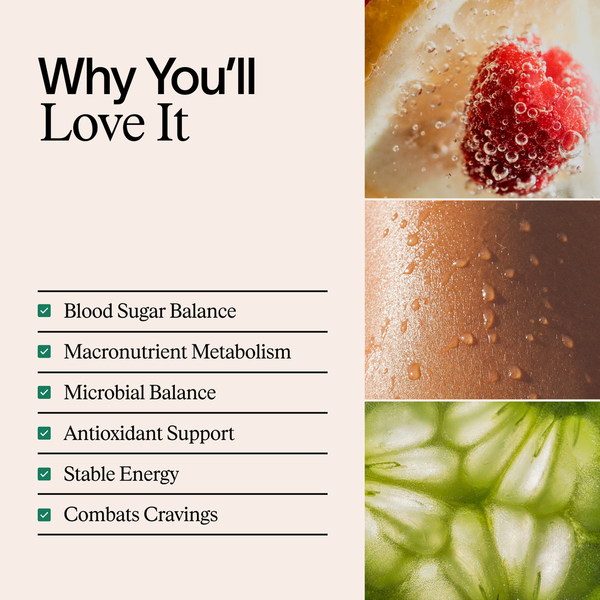 ARTAH Metabolic Fix 60 Capsules