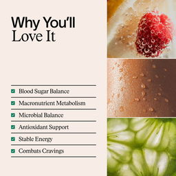 ARTAH Metabolic Fix 60 Capsules
