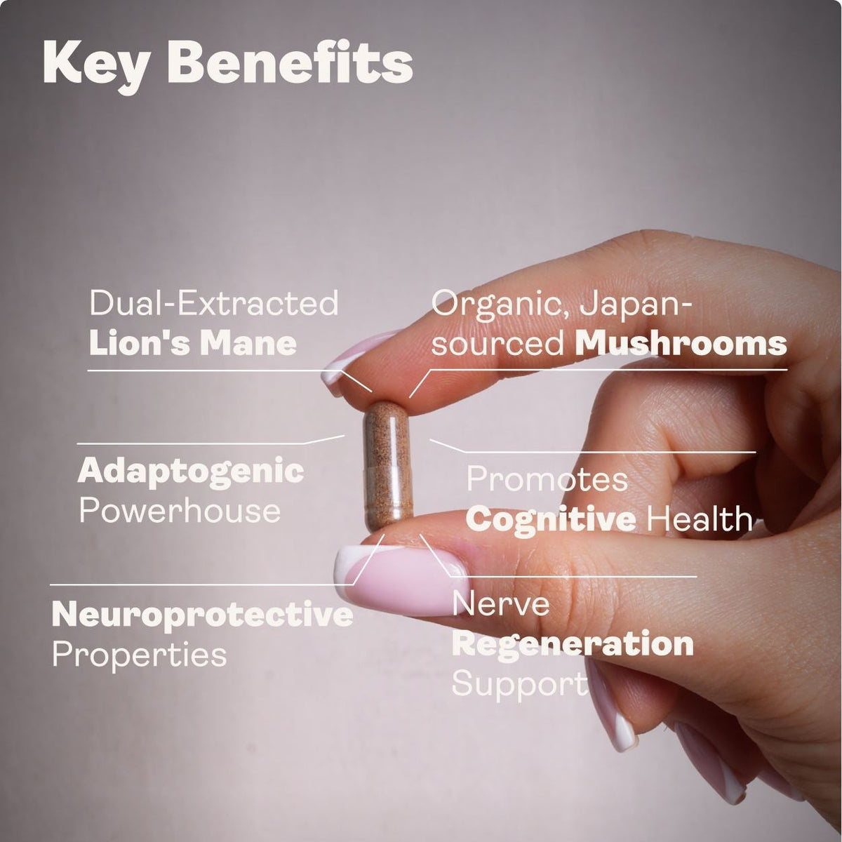Hand holding a small container with key benefits listed on a gray background