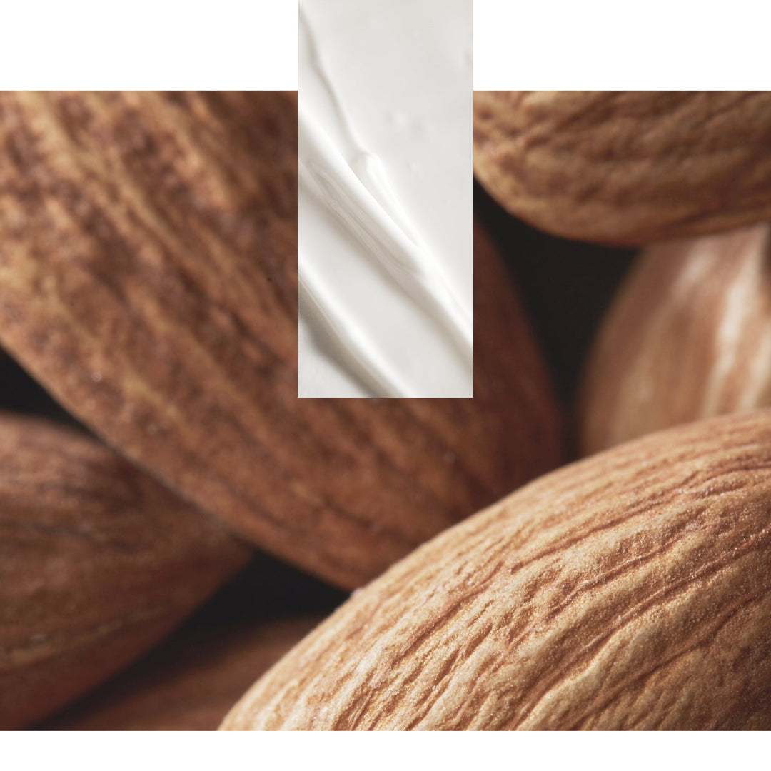 Close-up of almonds with a white square overlay